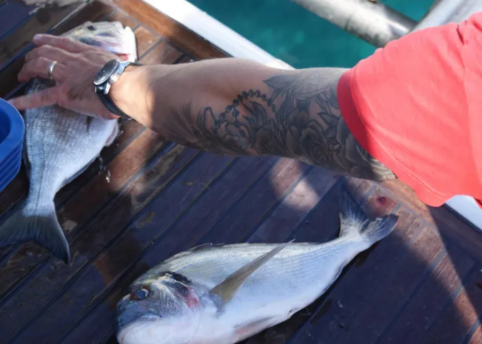 Anima Maris Yacht * Umag